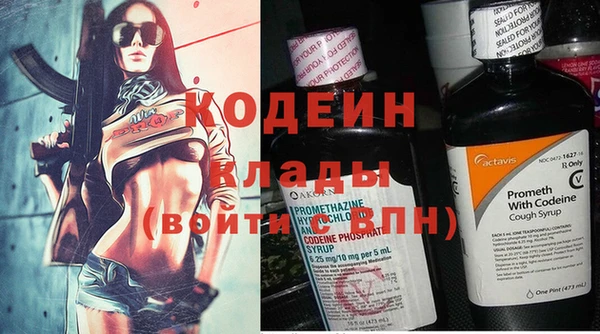 амф Вяземский