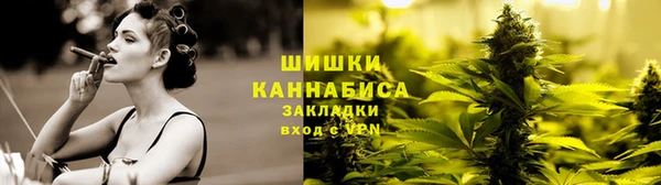 амф Вяземский