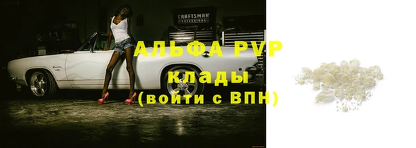 амф Вяземский
