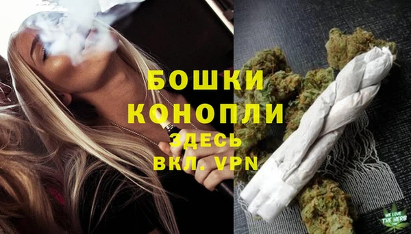 амф Вяземский