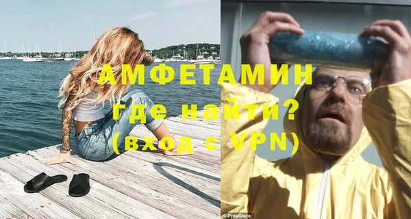 амф Вяземский