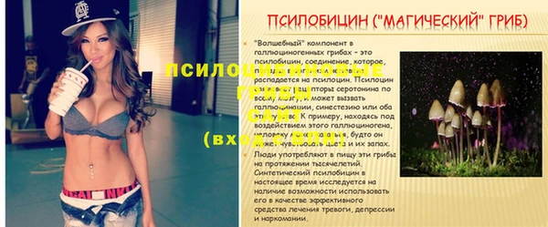jwh Вязьма